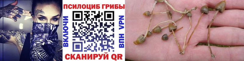 гидра как войти  Гуково  Галлюциногенные грибы мухоморы  купить наркоту 