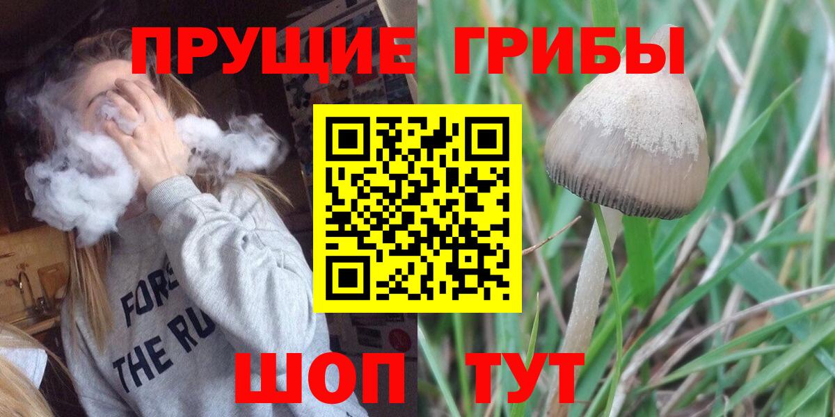 Галлюциногенные грибы мухоморы Гуково