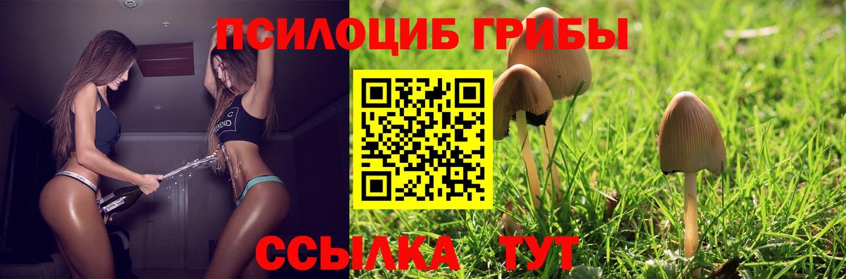 Галлюциногенные грибы мицелий  Вход с VPN  Псилоцибиновые грибы ЛСД  Гуково 